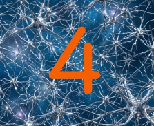 4-Neuronen.png